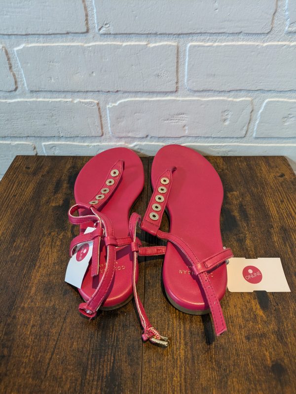 Sandals Flats By Cole-haan In Pink, Size: 6 Hot on Sale