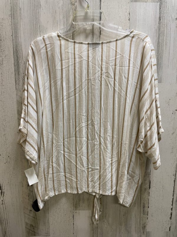 Top Short Sleeve By Coco And Carmen In Tan, Size: 2x For Discount